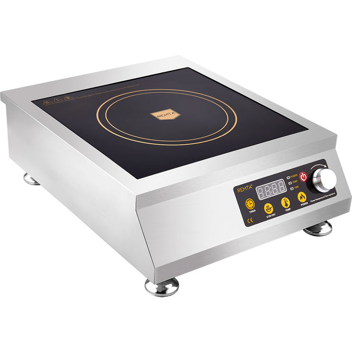 REMTA Electric Induction Resho - (WYL D42) -
