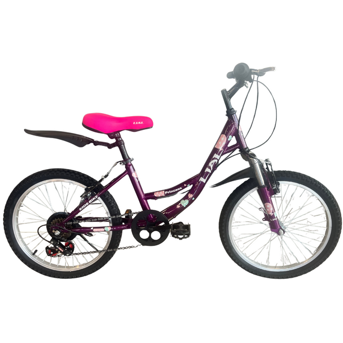LIAL 20" Bike - PURPLE - (718 SPEED)
